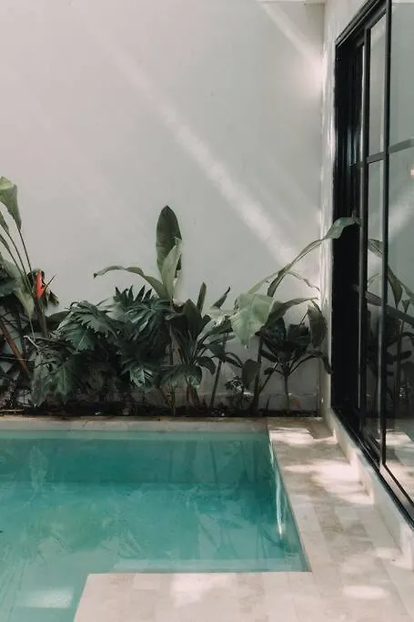 Torana A1 Cozy Design Apt W Pvt Pool And Patio Apartment Tulum