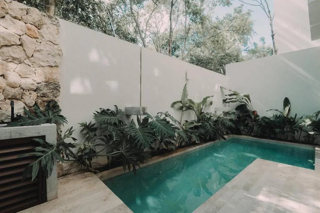 Torana A1 Cozy Design Apt W Pvt Pool And Patio Apartment Tulum